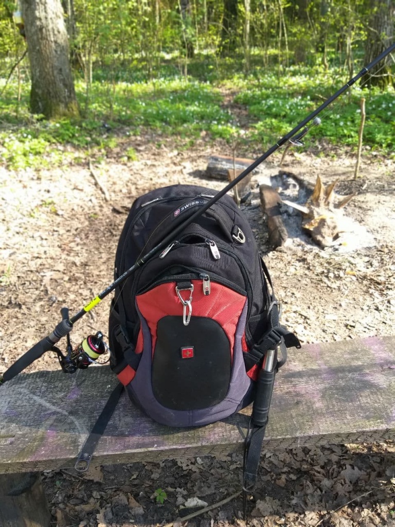 Salmo Elite JIG N TWITCH 28 2.23 (6).jpg